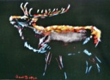 06 - Stag at Night - Pastel on Velour - Wendy Britton.jpg